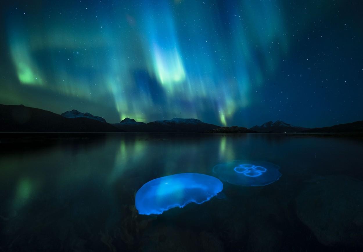 Meduzele sub Aurora Boreală, de Audun Rikardsen