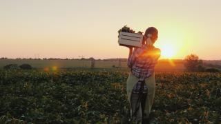 Fermierii care vor primi în 2024 un ajutor de 200 de euro pe hectar. Anunţul ministerului Agriculturii