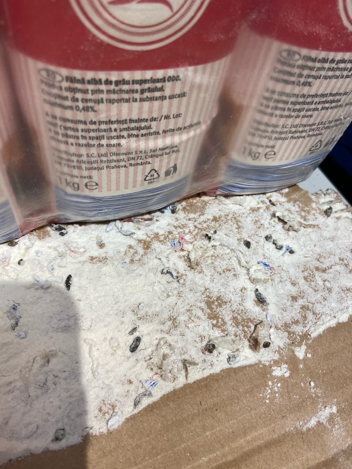 Magazin Lidl din Timişoara, închis după ce au fost găsite excremente de şoareci şi capcane cu lipici. Ce au mai găsit inspectorii la control