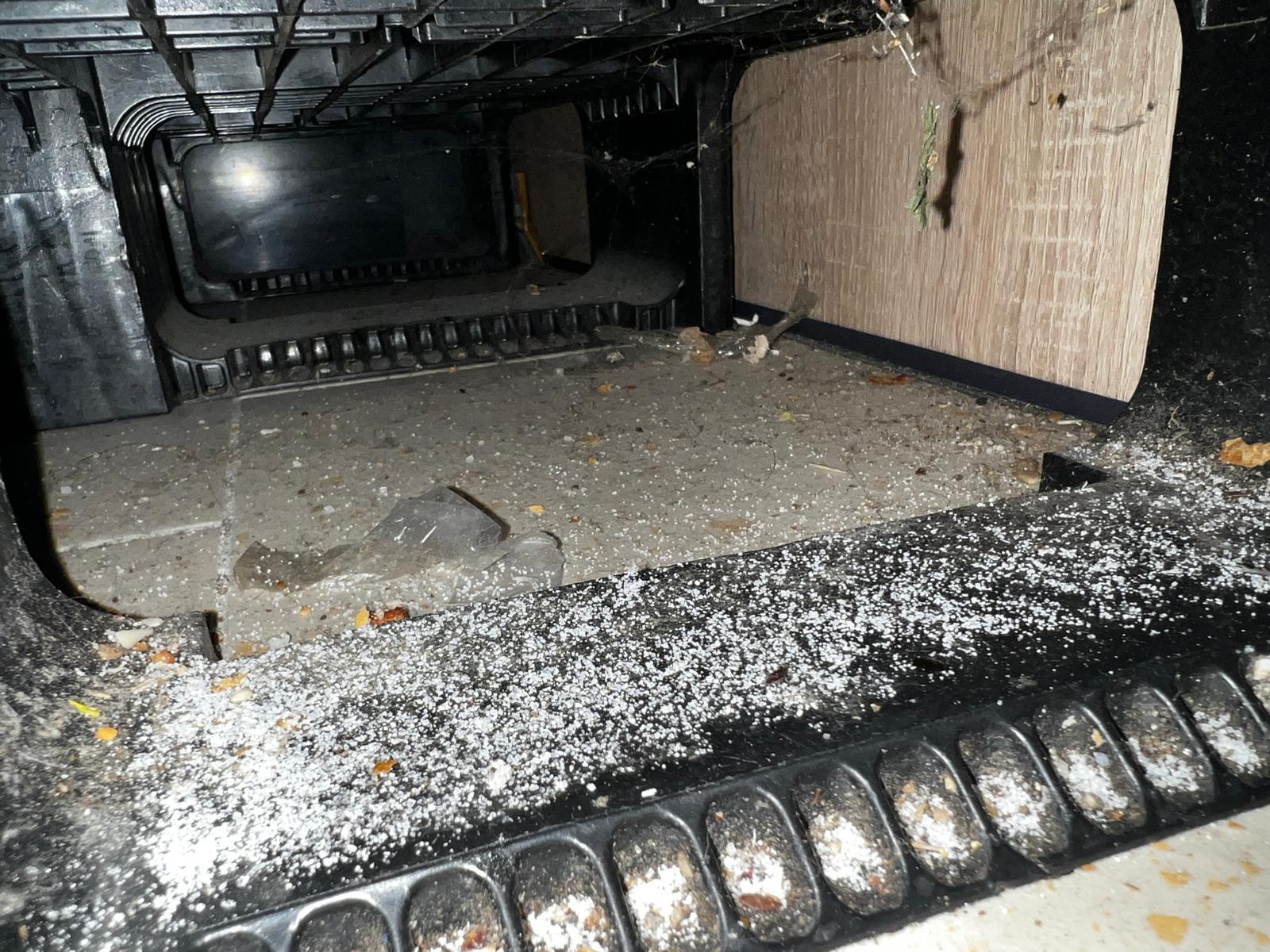 Magazin Lidl din Timişoara, închis după ce au fost găsite excremente de şoareci şi capcane cu lipici. Ce au mai găsit inspectorii la control