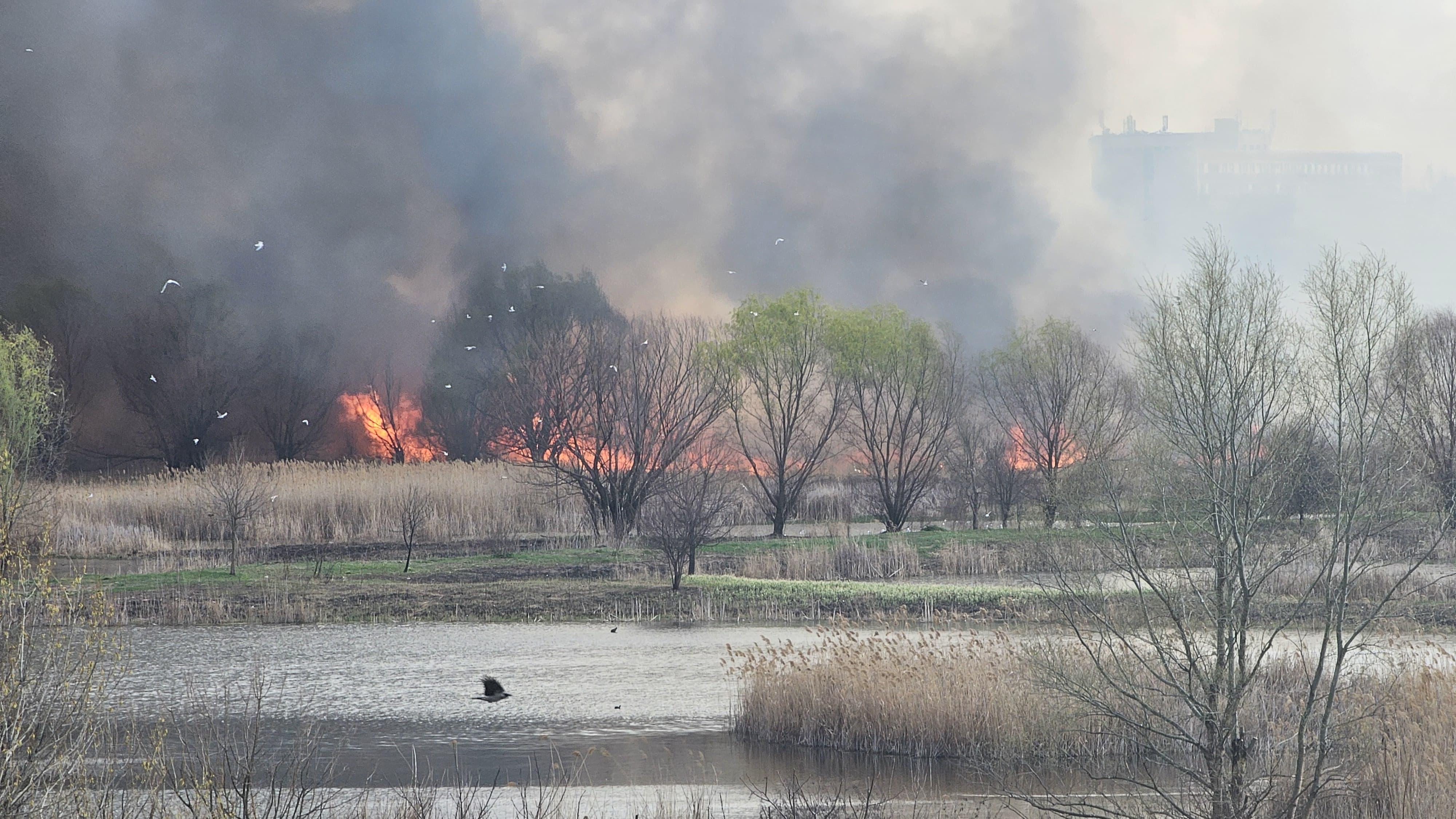 Incendiu puternic în Delta Văcăreşti. Flăcările au cuprins peste 1.000 de metri pătraţi