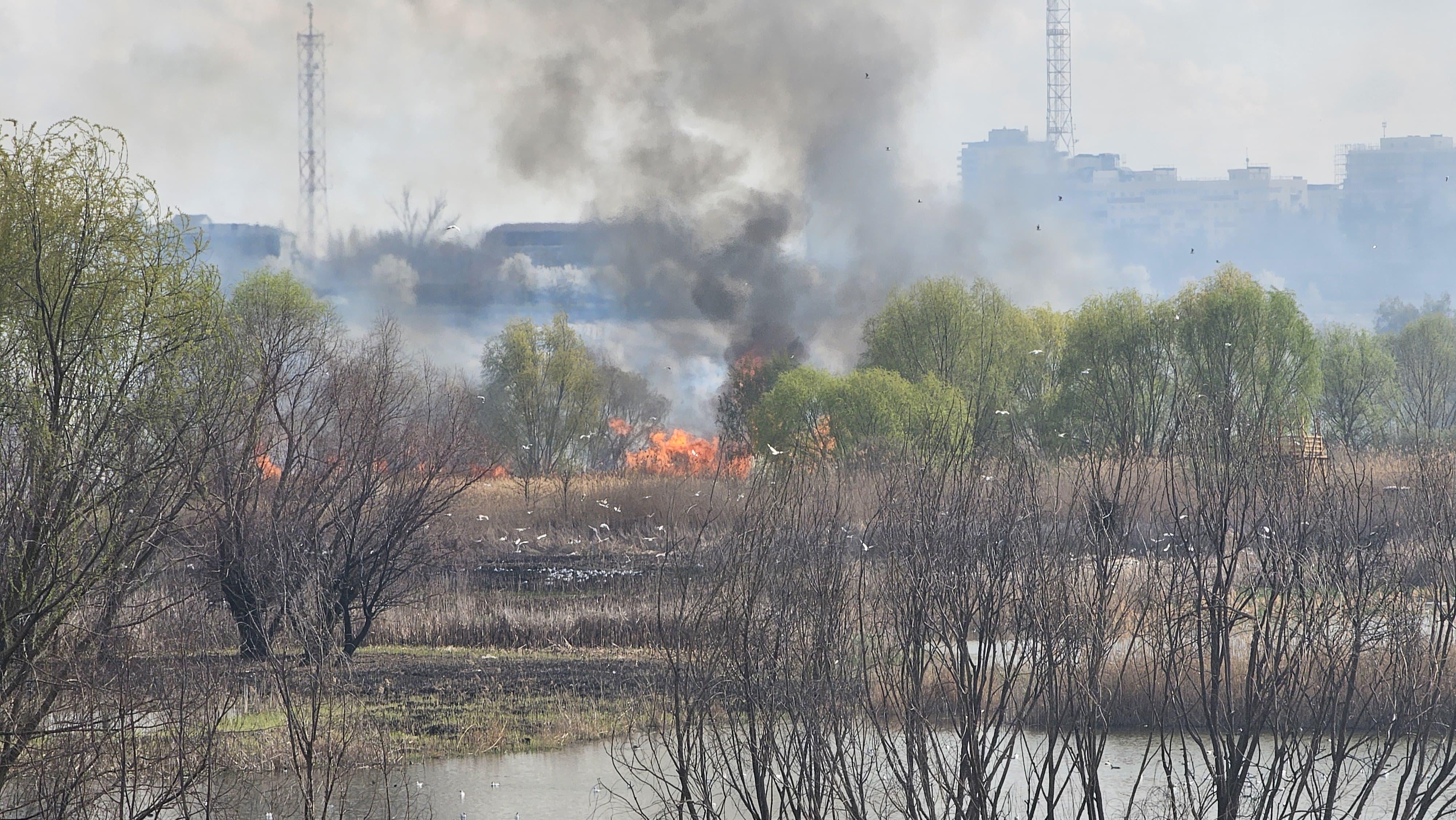 Incendiu puternic în Delta Văcăreşti. Flăcările au cuprins peste 1.000 de metri pătraţi