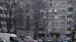 Apariţie neaşteptată în Crângaşi, Bucureşti. "S-ar putea sa se ascundă în subsolul unui bloc"