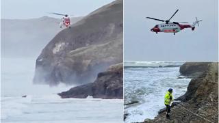 Un naufragiat şi-a aruncat în mare câinele ca să urce într-un elicopter de salvare, în UK. Animalul a fost lăsat să moară, deşi a fost zărit în apă