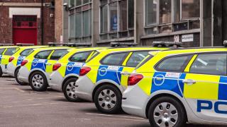 O pasăre din Marea Britanie imită atât de bine sirenele maşinilor de poliţie încât poliţiştii au crezut că li s-au defectat autospecialele