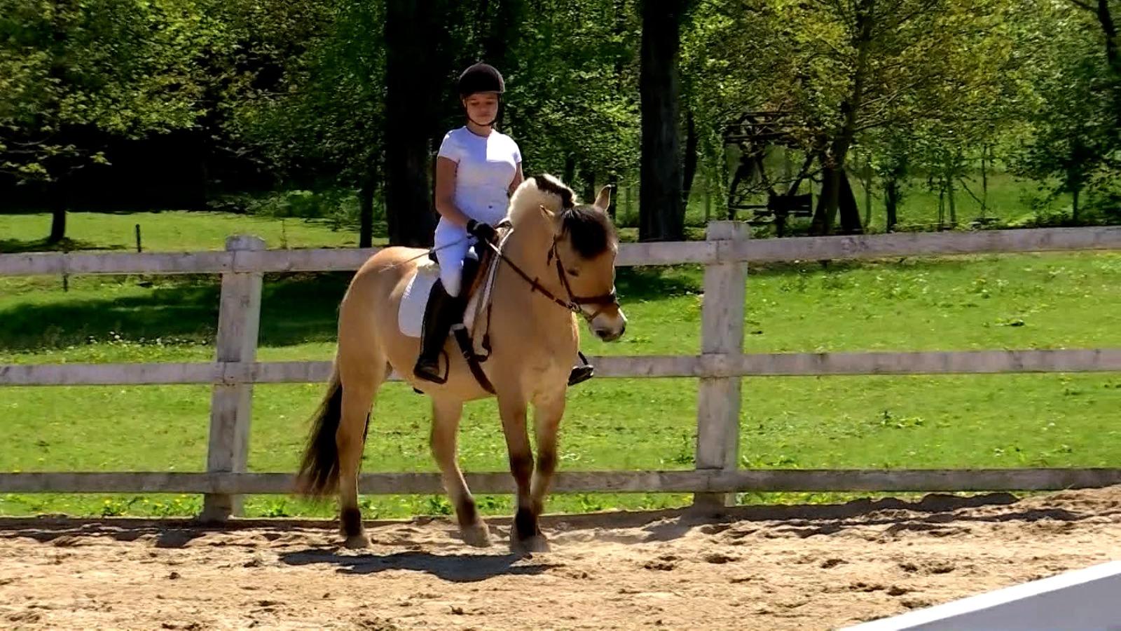 Sportul care câştigă inimile tot mai multor tineri. După ani de antrenament, Maria a atins succesul împreună cu partenerul ei, Charlie