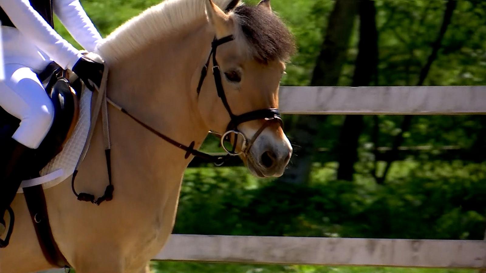 Sportul care câştigă inimile tot mai multor tineri. După ani de antrenament, Maria a atins succesul împreună cu partenerul ei, Charlie