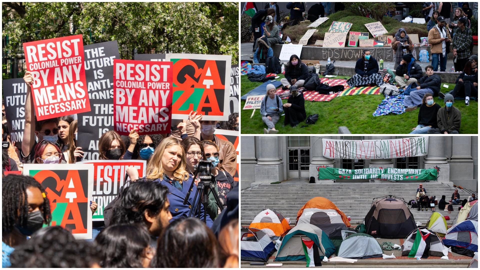 proteste studenți pro-Palestina SUA