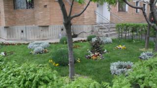 Amenda primită de o femeie din Braşov pentru că a plantat flori sub geamul apartamentului ei: "E anormal ce se întâmplă"