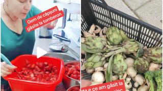 O româncă stabilită în Spania arată ce găteşte cu alimentele pe care le găseşte prin gunoaie. "Aleg și eu ce e bun, ce nu e bun"