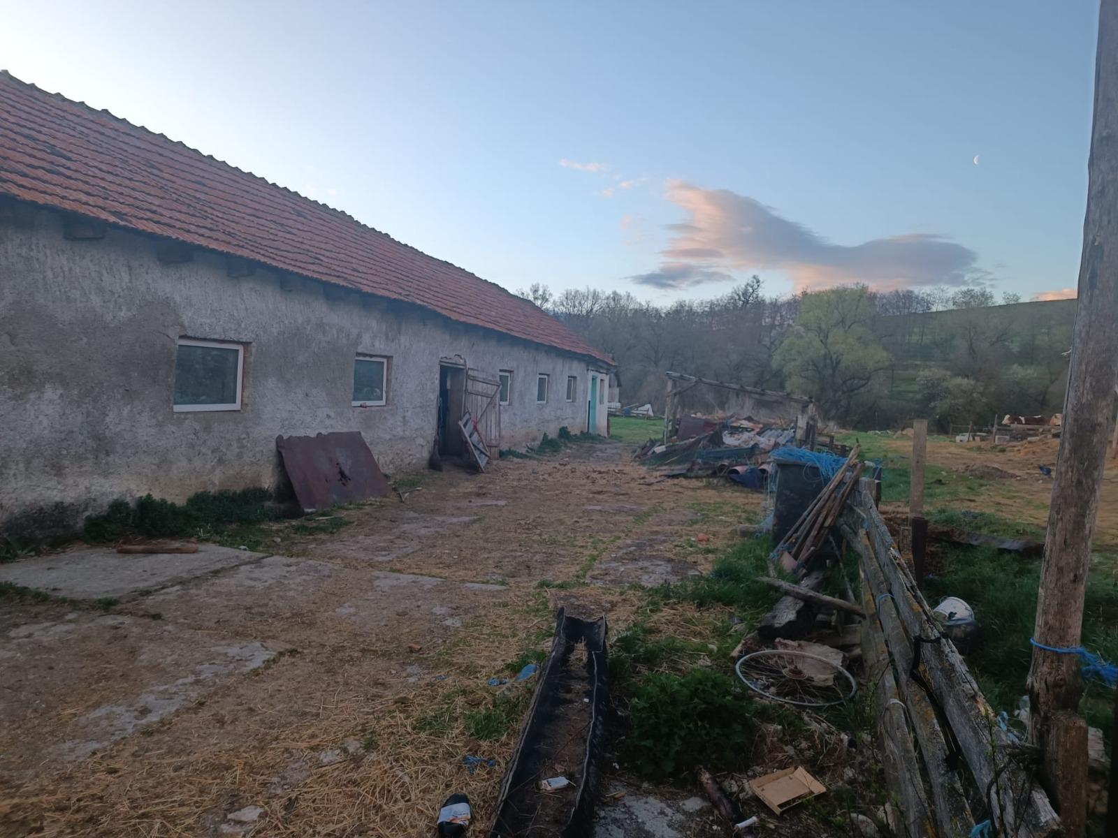 Stâna groazei din Brașov: un copil a fost exploatat, bătut și ținut într-o cușcă. Procurorii și polițiștii DIICOT fac percheziții