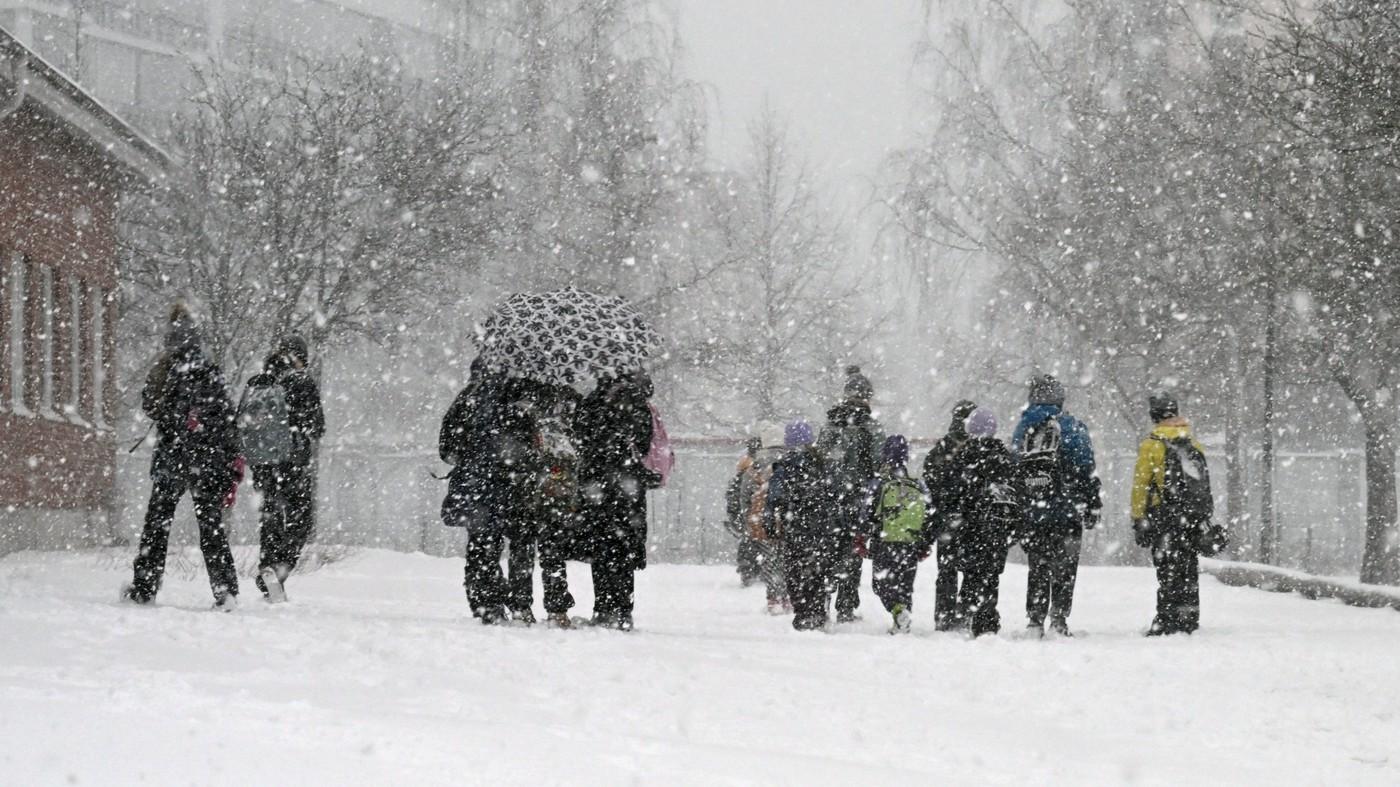 Zi de doliu național în Finlanda, pentru copilașul ucis la școală de un coleg. Steagurile sunt coborâte în bernă