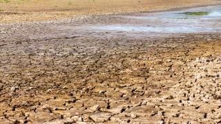 Sahara Olteniei pierde anual 1.000 de hectare arabile, avertizează Ministrul Mediului. Au apărut și cicadele, insecte specifice Greciei