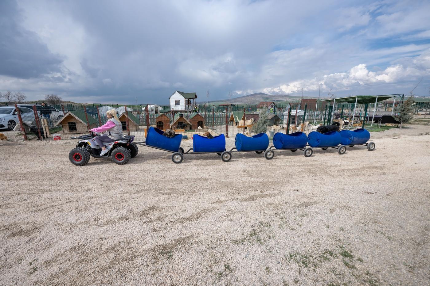 O turcoaică plimbă câinii cu dizabilități cu ajutorul unui trenuleț construit din butoie de plastic
