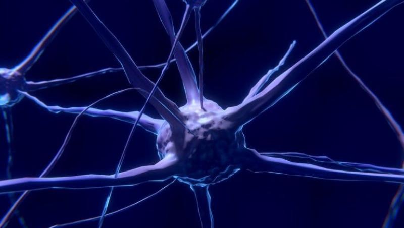 S-a descoperit cel mai timpuriu semn de până acum pentru maladia Alzheimer