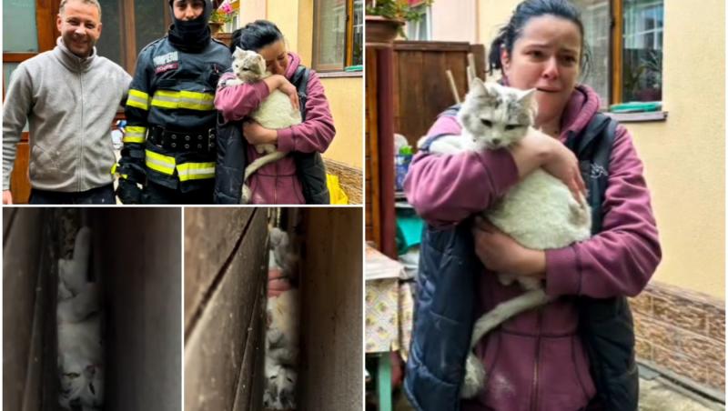 Misiune specială de salvare a lui Miezu, un pisoi curios rămas blocat între două ziduri, la Brașov. "Nu degeaba se spune că pisicile au 9 vieți"