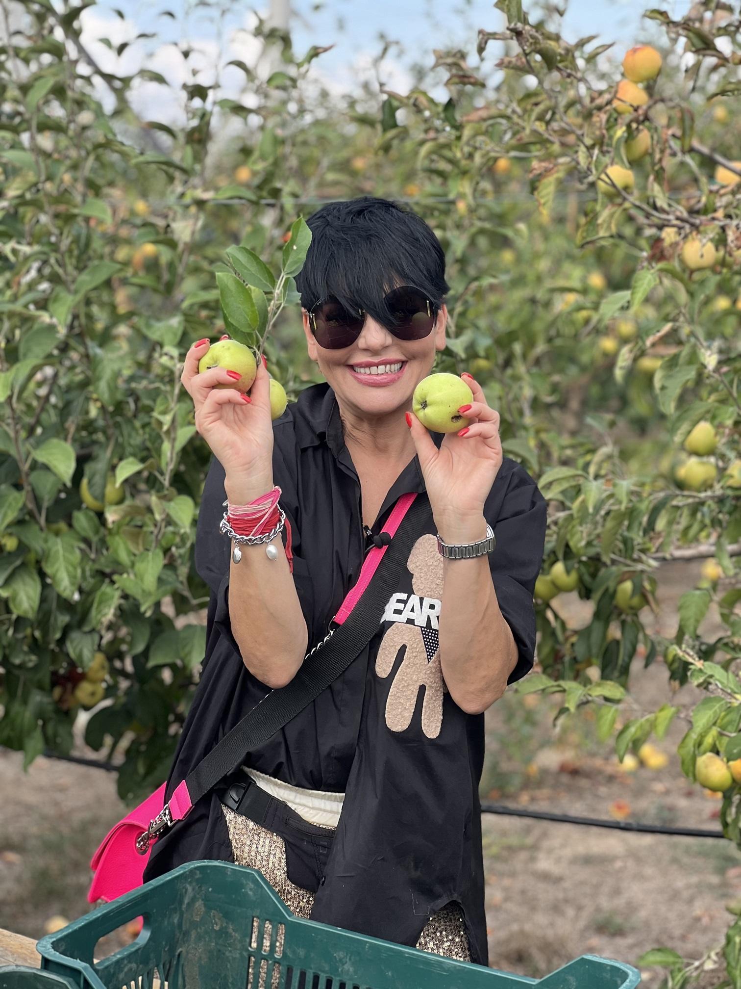 Poftiți pe la noi: Poftiți în Dobrogea! Noile episoade ale sezonului 10 vor fi difuzate in fiecare luni, marți și miercuri, ȋncepând din 20 mai, la Antena 1