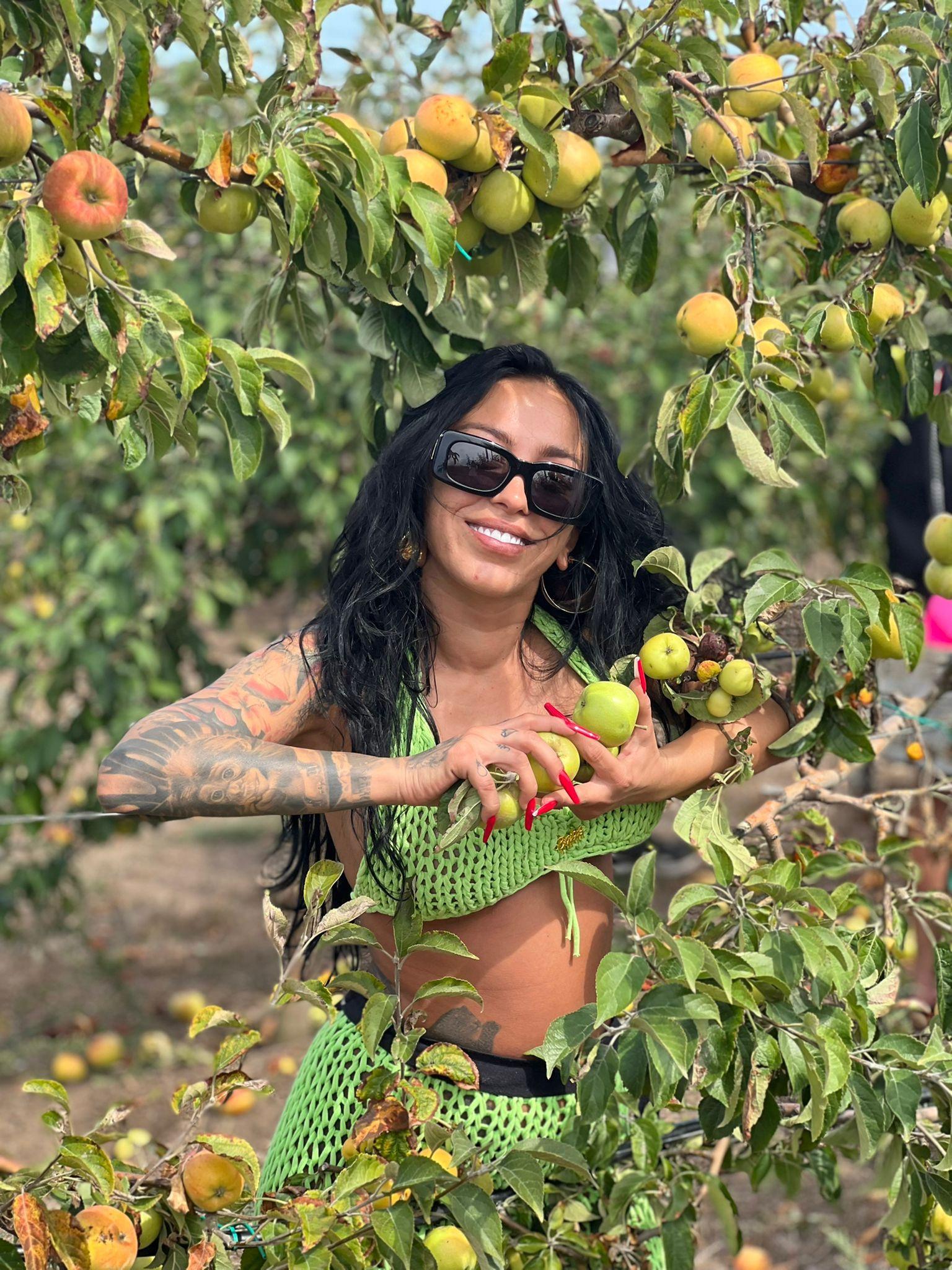 Poftiți pe la noi: Poftiți în Dobrogea! Noile episoade ale sezonului 10 vor fi difuzate in fiecare luni, marți și miercuri, ȋncepând din 20 mai, la Antena 1