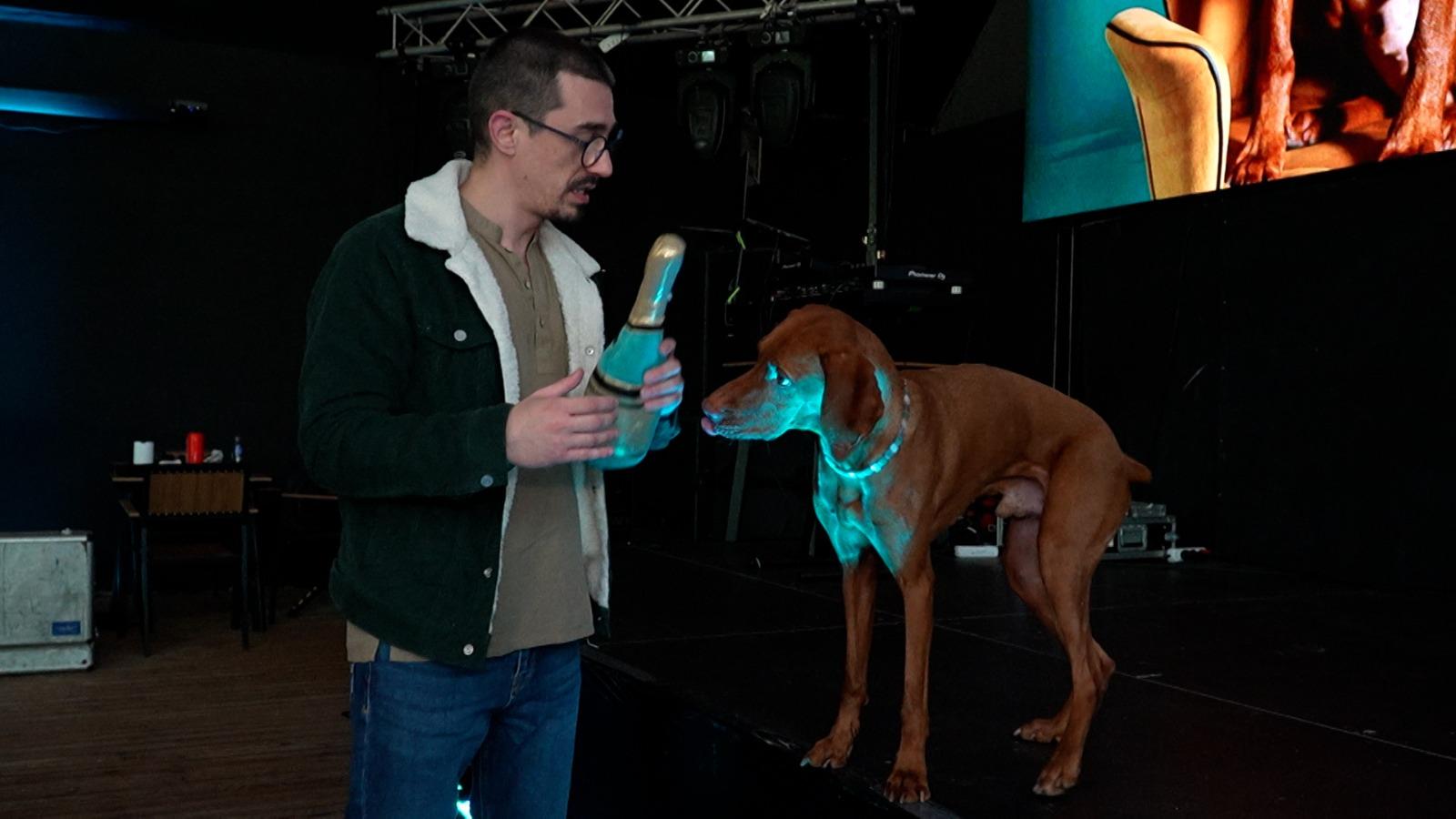 Premieră naţională de ziua lui Buddy, câinele-vedetă de pe Instagram