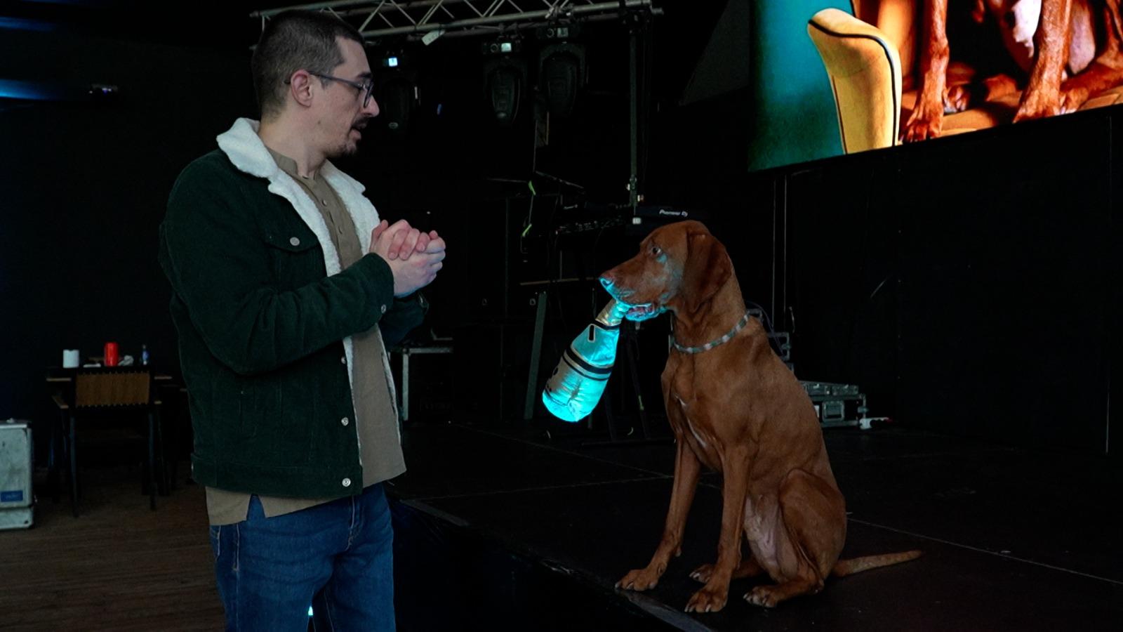 Premieră naţională de ziua lui Buddy, câinele-vedetă de pe Instagram