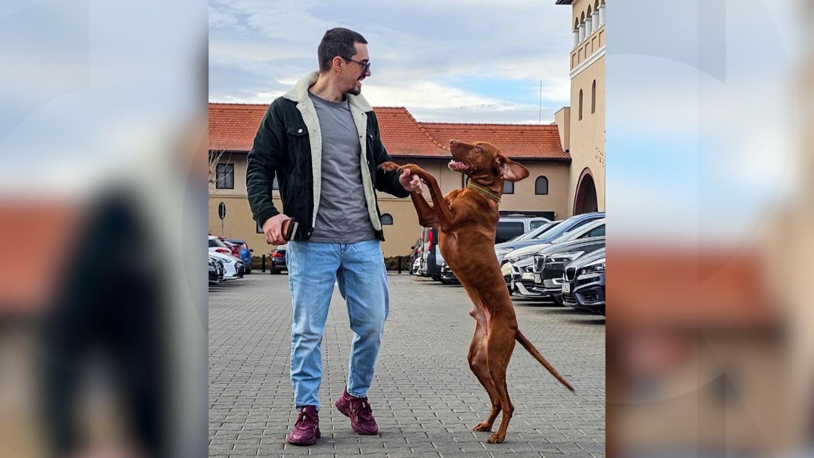 Premieră naţională de ziua lui Buddy, câinele-vedetă de pe Instagram