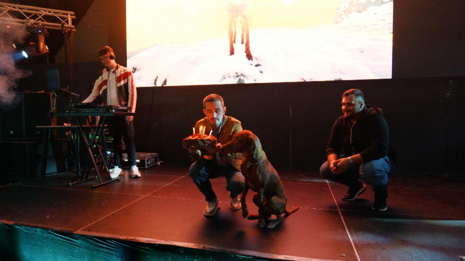 Premieră naţională de ziua lui Buddy, câinele-vedetă de pe Instagram