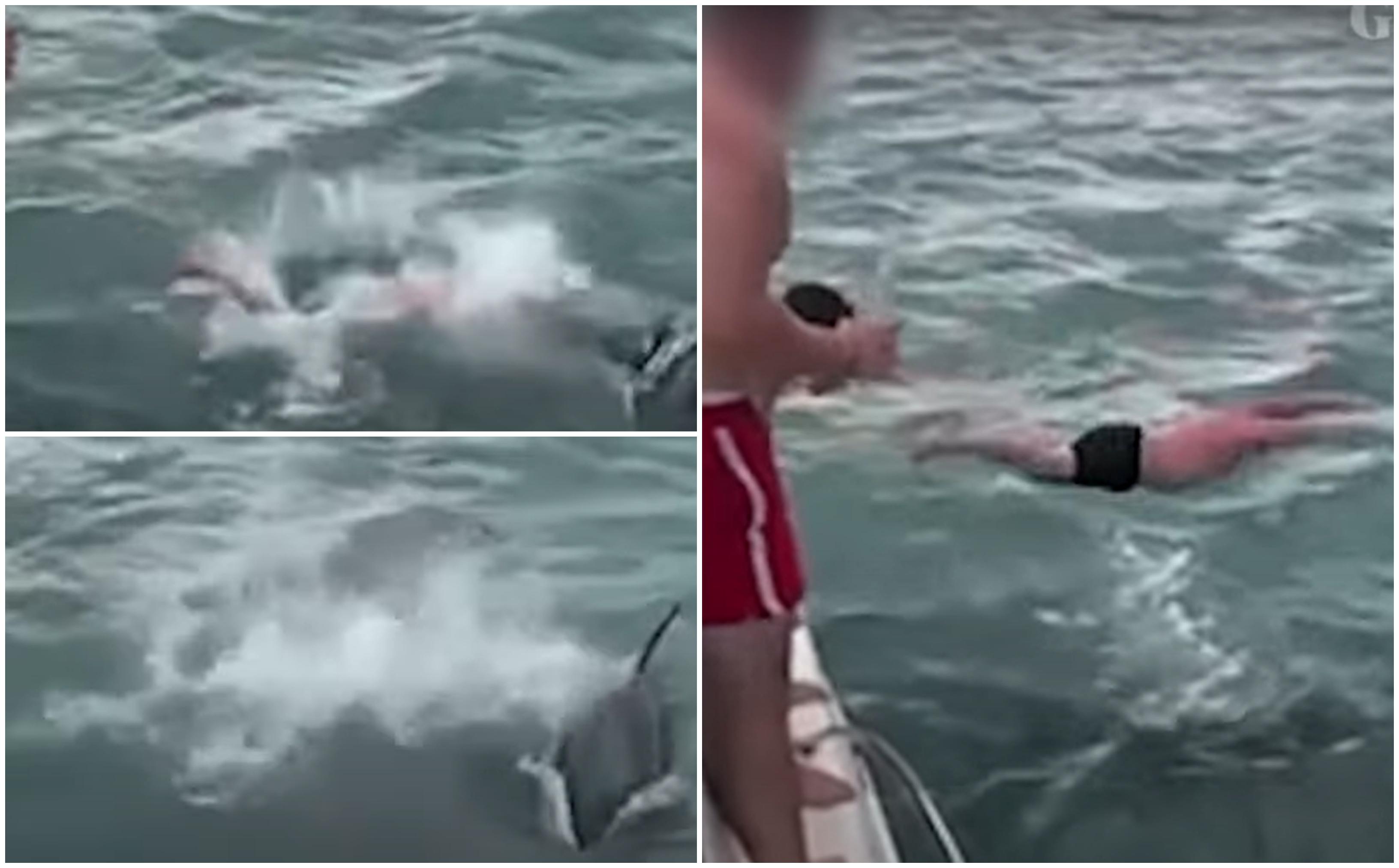 Momentul în care un bărbat din Noua Zeelandă sare de pe o barcă peste o orcă. "Am atins-o, ai filmat?"