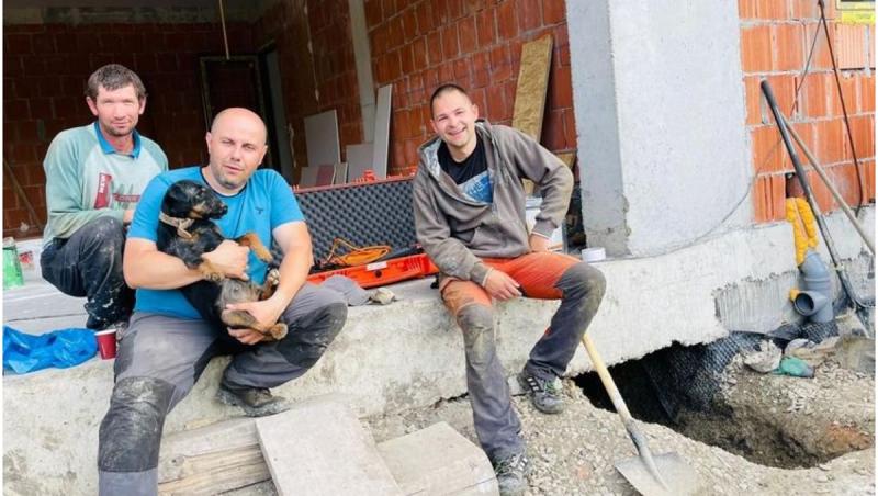Cățeluș salvat după 8 ore dintr-o vizuină de vulpe, în Cluj. Max, un câine care a căutat victime la cutremurul din Turcia, a ajutat la misiune