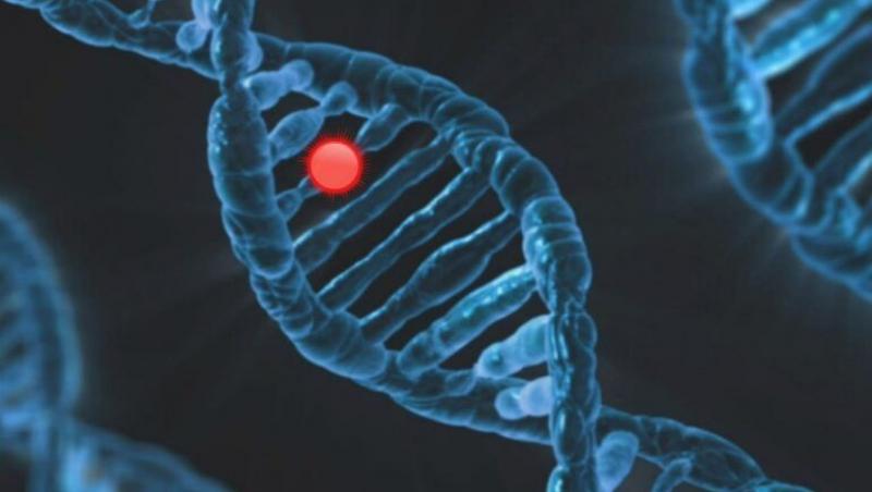 ADN-ul viral străvechi din genomul uman, legat de tulburări psihiatrice majore. La ce boli suntem predispuși nativ