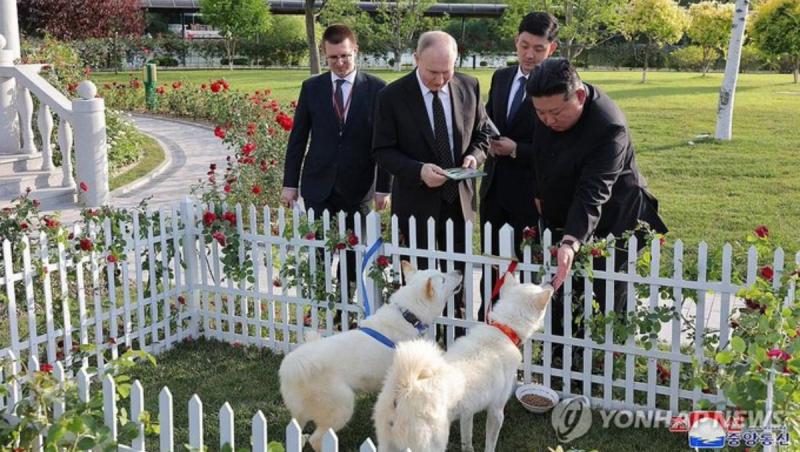 Putin a primit doi câini din rasa pungsan de la Kim Jong Un, după semnarea acordului care a dat fiori Occidentului