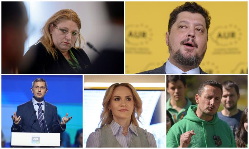 Cine ar putea fi europarlamentarii români
