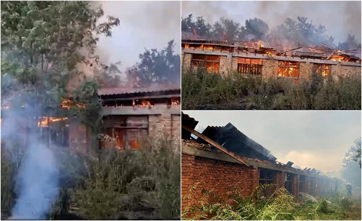 Munca de o viață, mistuită e flăcări. 50 de tone de cereale și două utilaje agricole s-au făcut scrum, după ce o hală din Timiș a luat foc