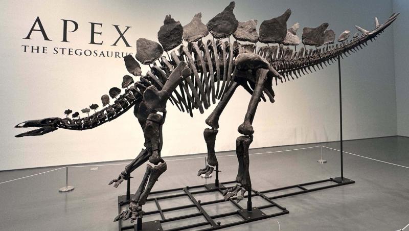 Cel mai scump schelet de dinozaur din lume, cumpărat de miliardarul american Ken Griffin