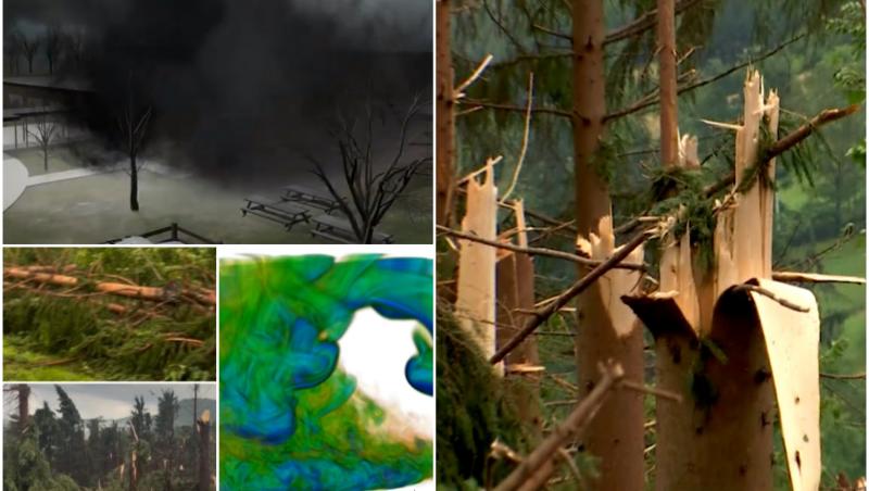 ANIMAŢIE. Scene apocaliptice într-o pădure din România, după ce a fost lovită de fenomenul "Downburst"