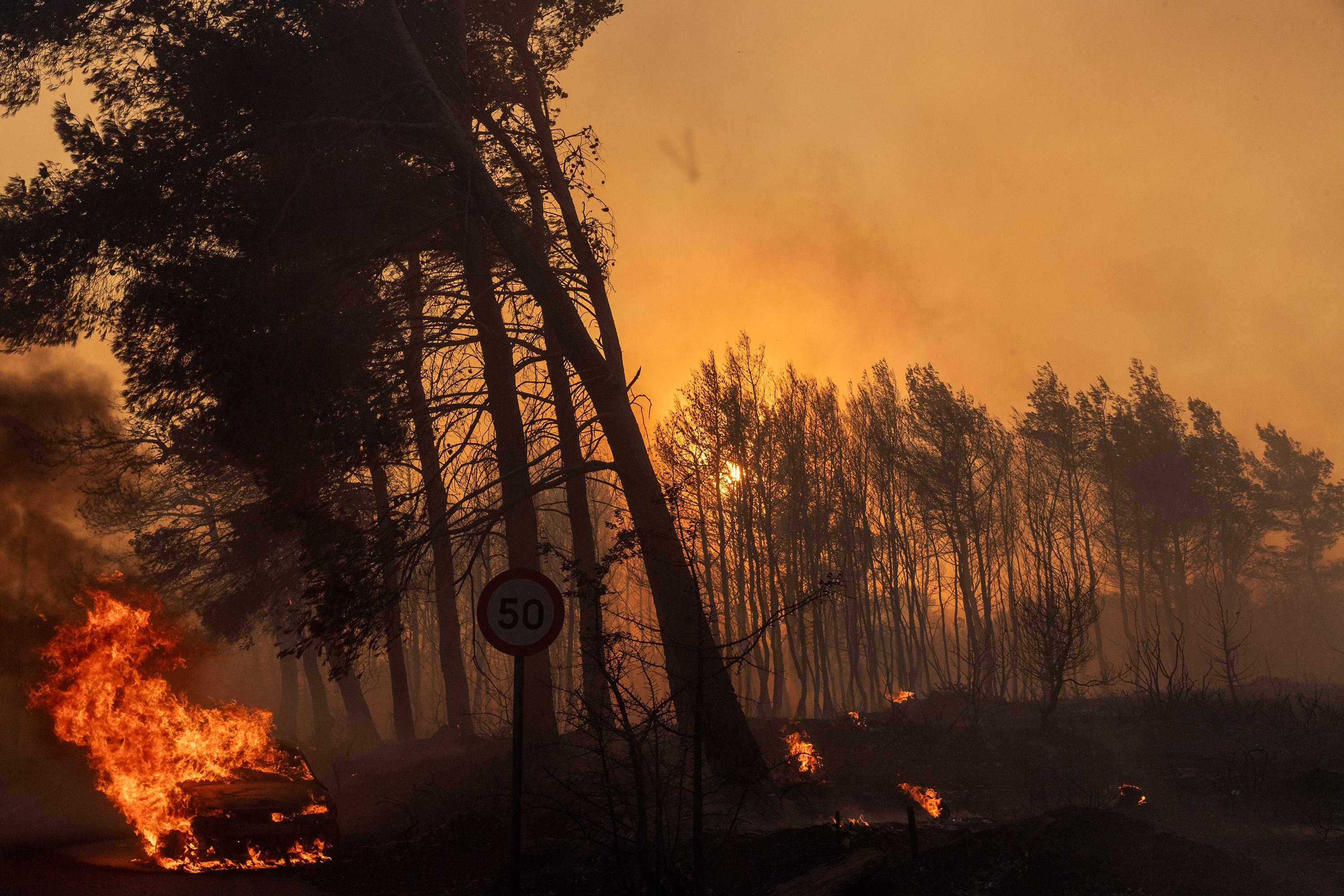 România a trimis pompieri alți 44 de pompieri în Grecia, pentru a ajuta la stingerea incendiilor. Infernul se apropie de Atena