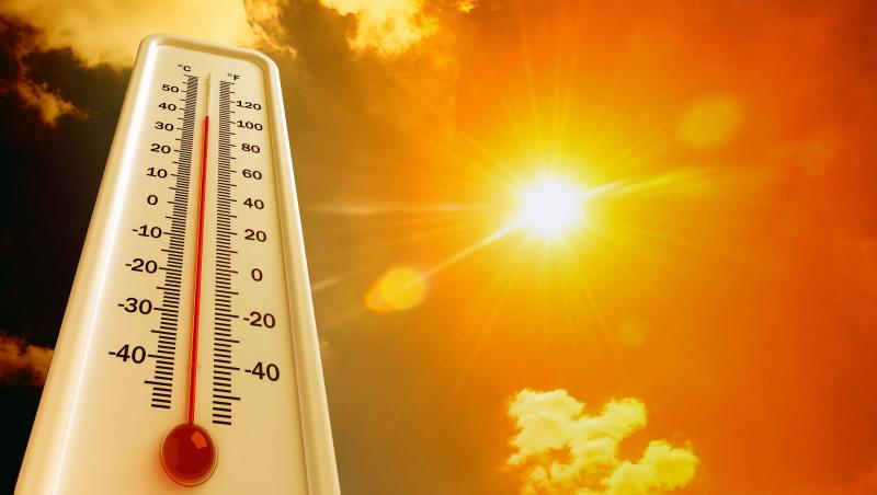 Cod roşu de caniculă în mai multe judeţe din țară. Temperaturile vor ajunge şi la 41°C