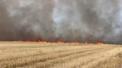 Incendiu puternic de vegetaţie în Dolj, în apropiere de DN 6. Traficul e oprit