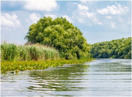 Fost prefect de Giurgiu, lovit mortal de o ambarcaţiune în timp ce înota în Dunăre. Cel care o conducea era băut