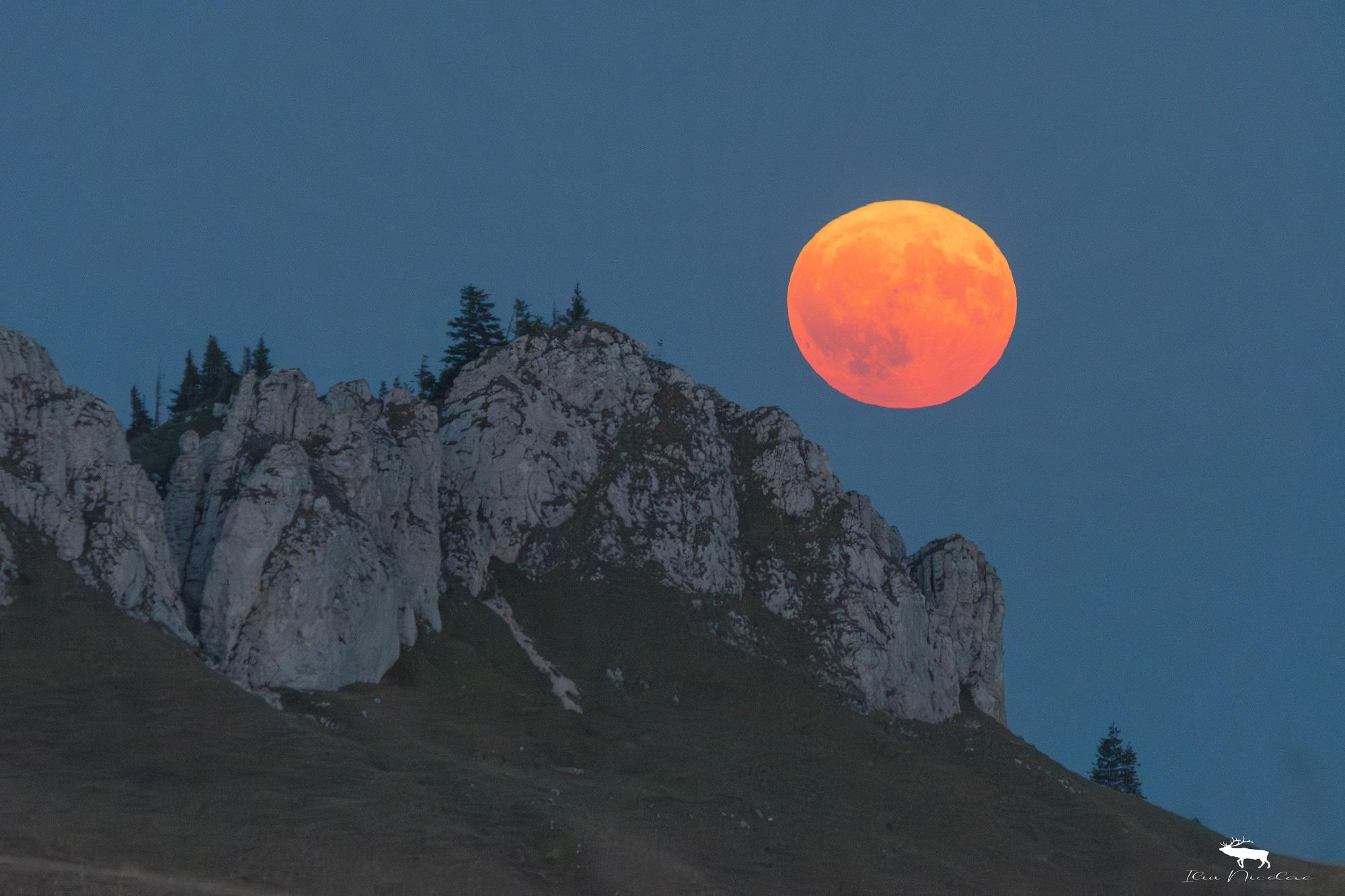Superluna albastră, un fenomen astrologic rar, a făcut spectacol în România. De ce i se spune "albastră"