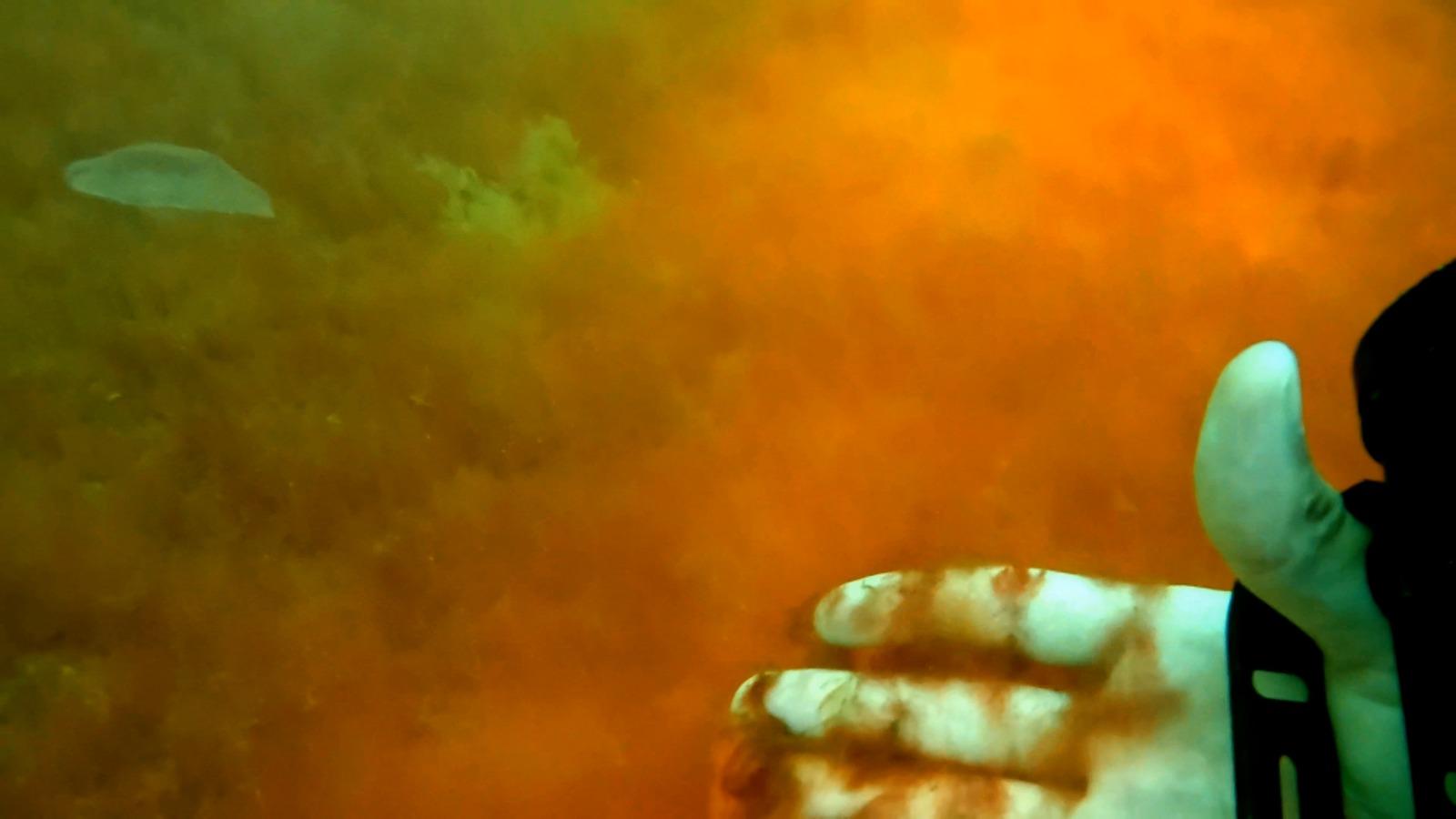 Locul de pe litoral unde apa a devenit portocalie. Explicația fenomenului care i-a uimit inclusiv pe specialiști