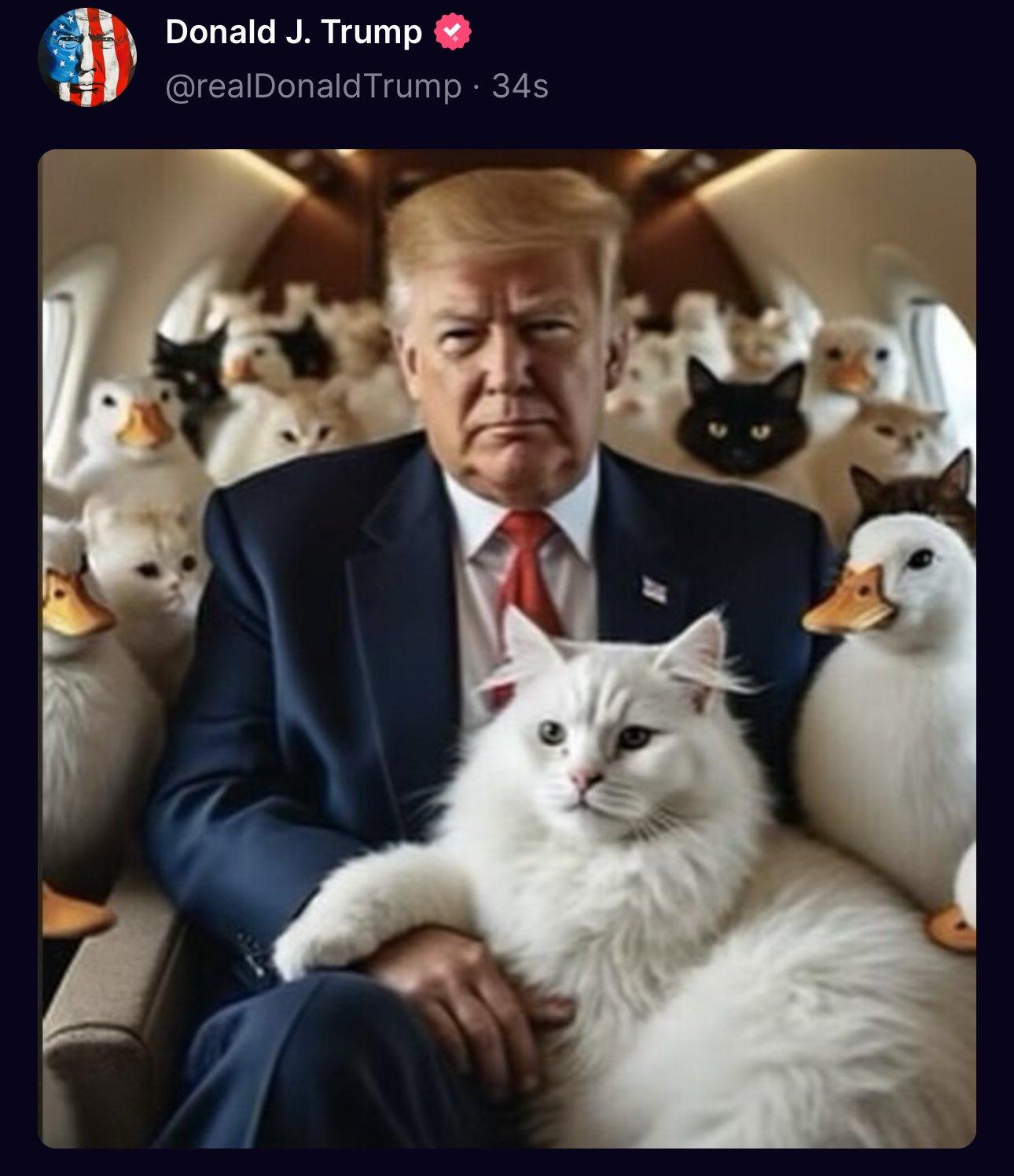 De unde au pornit memeurile virale cu migranții care le mănâncă americanilor pisicile și câinii