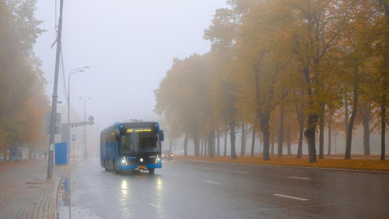 ANM a emis cod galben de ceaţă densă în două judeţe din ţară