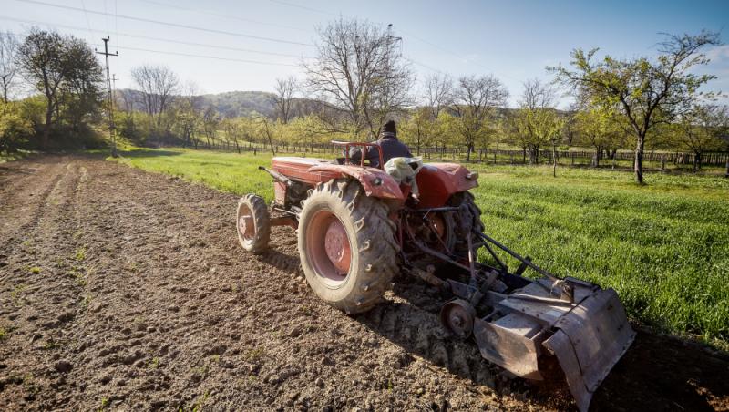 Ministerul Agriculturii va primi aproape 900 de milioane de lei în plus de la Guvern. Ce fermieri vor beneficia de ajutor financiar