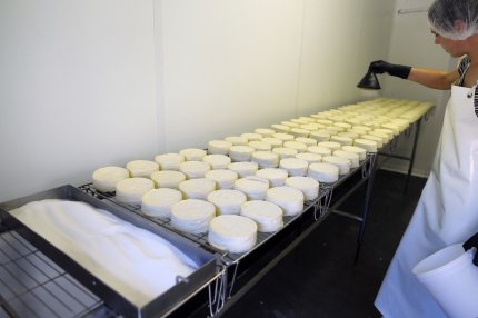 Cel mai mare producător de lactate din România, cu 2.000 de angajaţi, închide una dintre fabrici şi concediază pe toată lumea