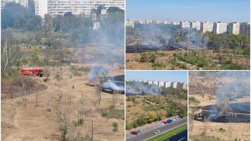 Comisia de Mediu a Consiliului General al Capitalei cere paza permanentă a Parcului IOR de teama incendierilor şi defrişărilor