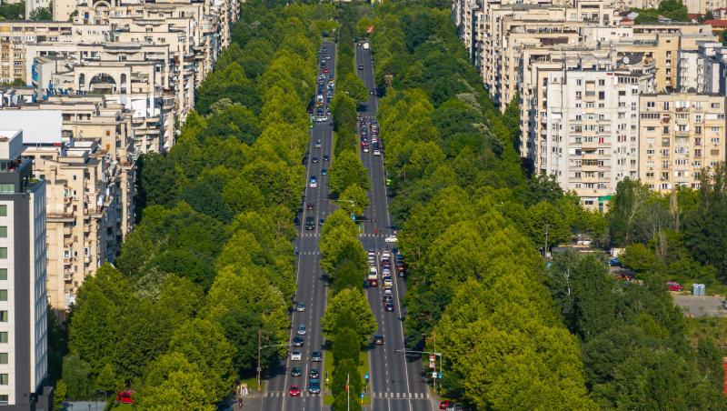 Harta care le arată bucureştenilor cât de verde este zona în care trăiesc