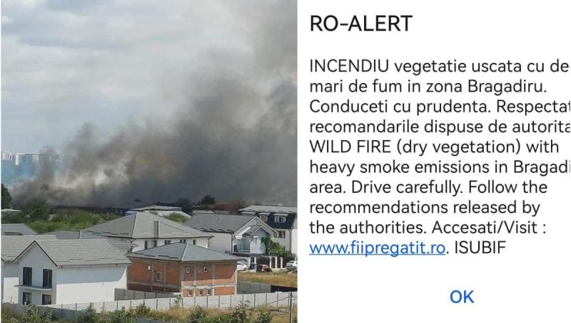 Incendiu de vegetație puternic în Bragadiru. Mesaj Ro-Alert, trimis pe o rază de 2 km din cauza degajărilor mari de fum