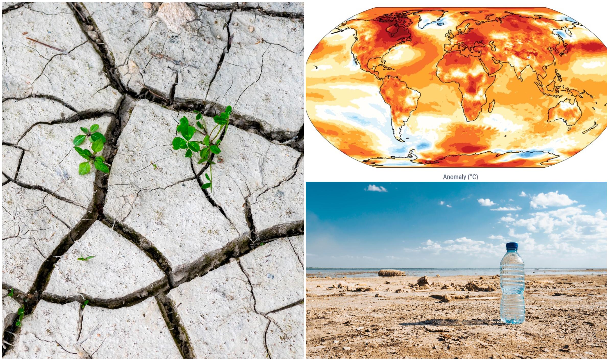 2024, cel mai călduros an din istoria măsurătorilor meteo în România. Iar încălzirea continuă: ianuarie 2025 a început cu temperaturi record