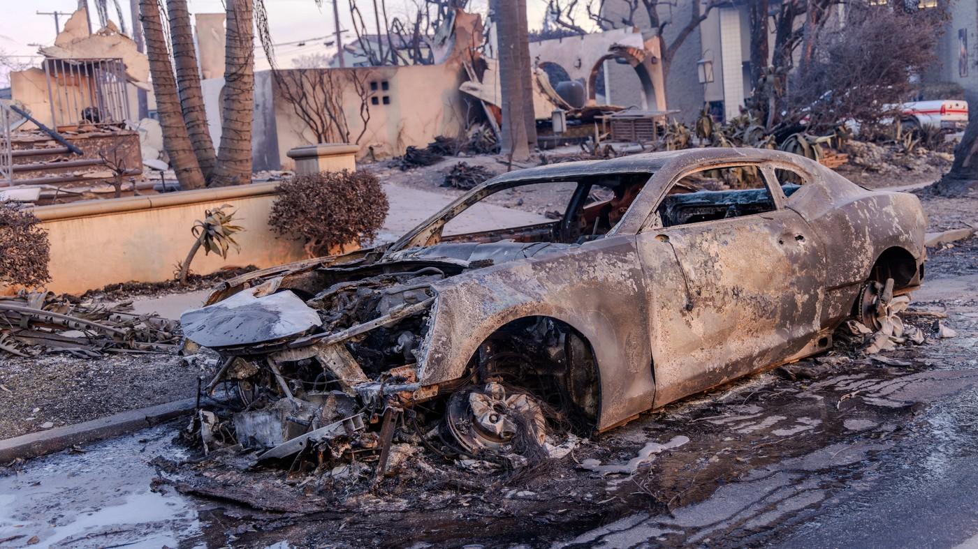 Incendii în Pacific Pelisades, Lons Angeles - California