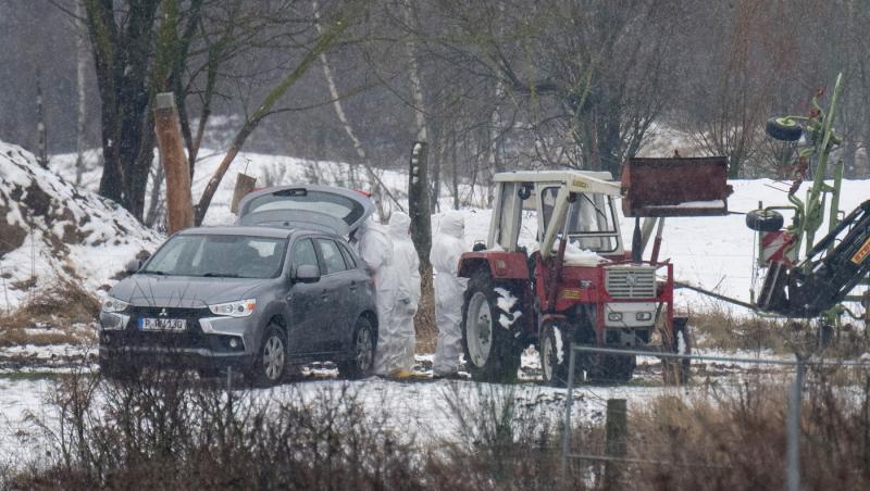 Boala care a reapărut în Germania. Au fost descoperite 3 cazuri, primele în UE după 2011